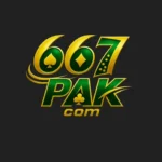 667Pak Game logo for Android gaming platform